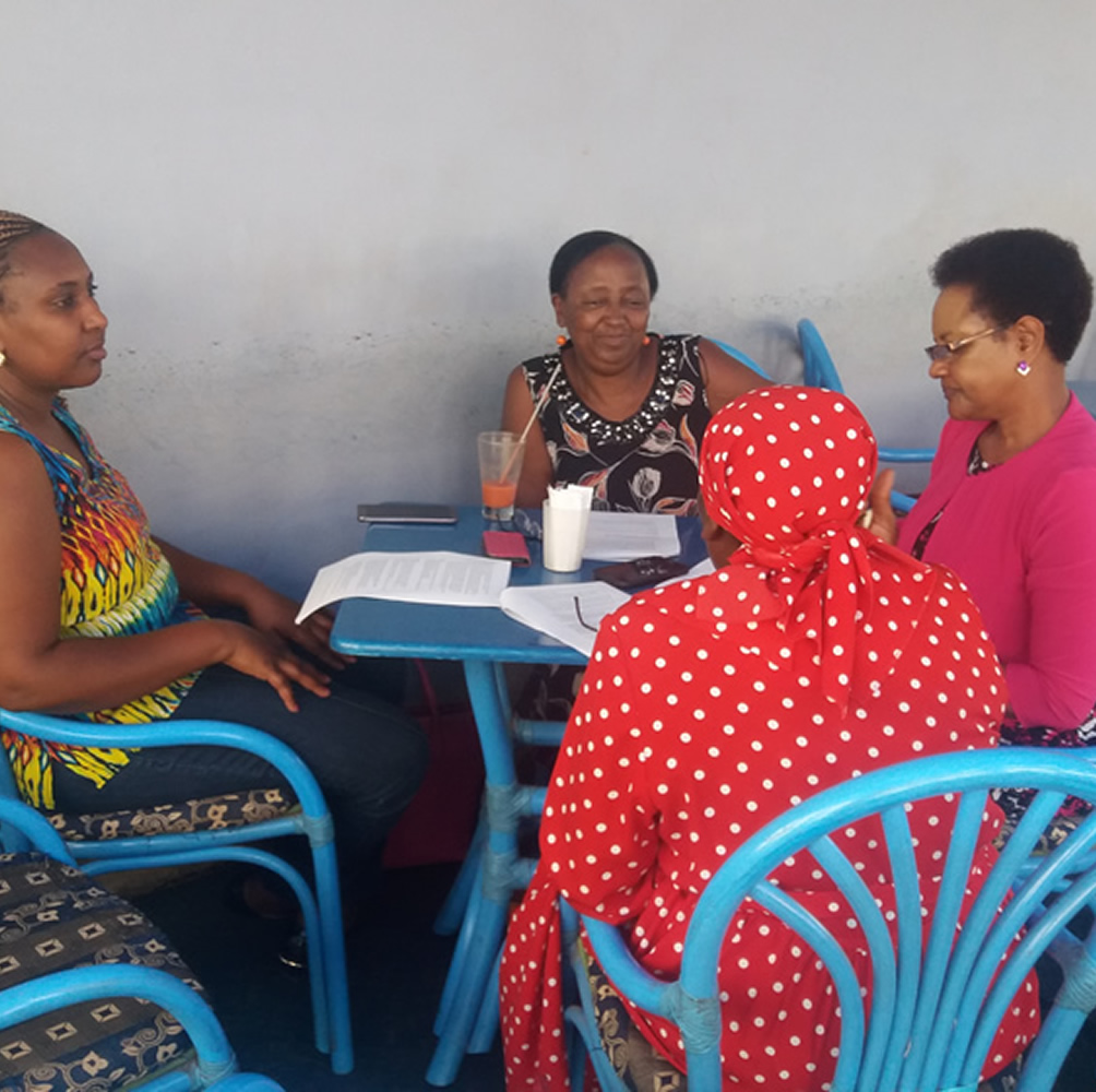 Hidden Voices Meeting